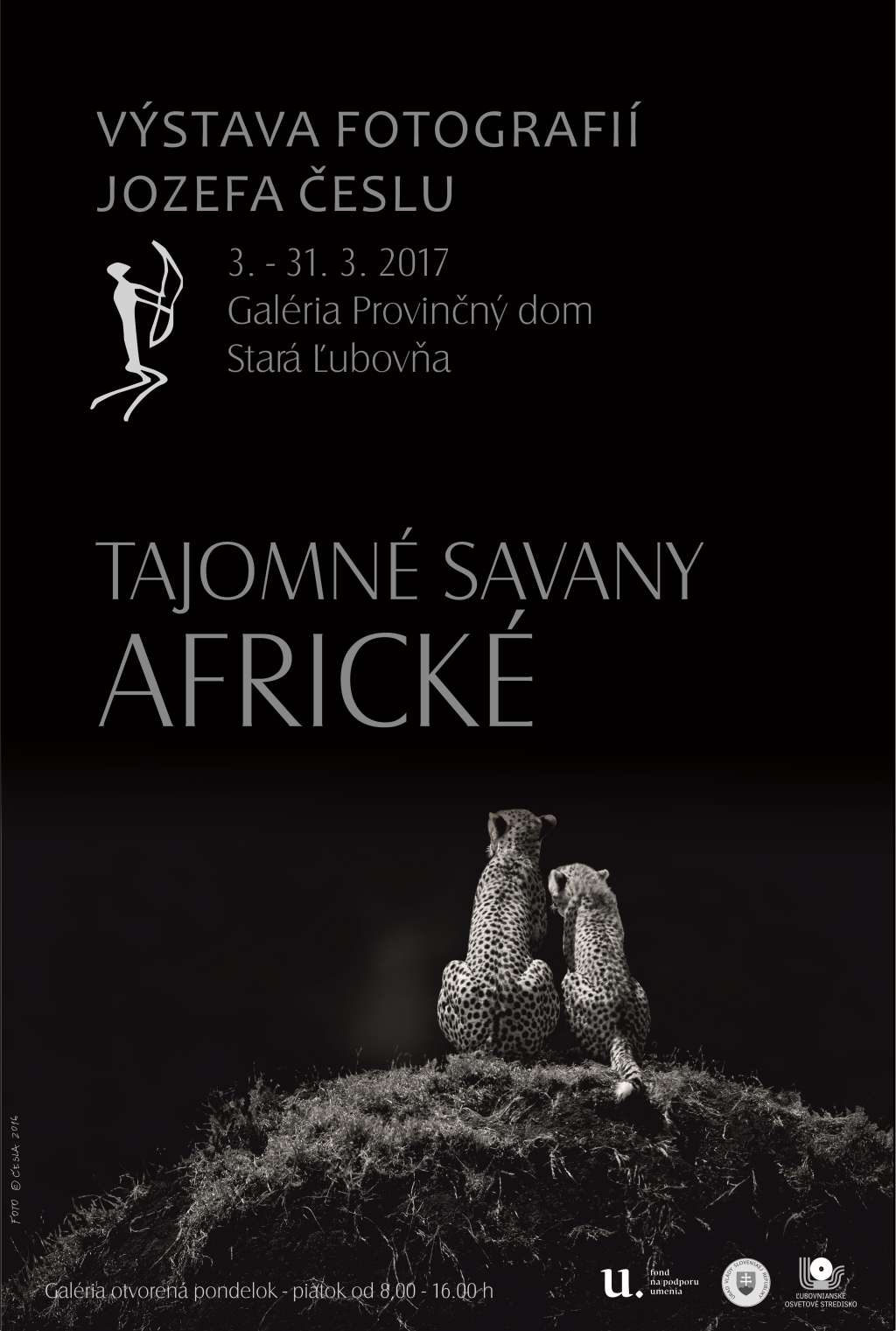 Výstava fotografií Jozefa Česlu - Tajomné savany africké Výstava fotografií Jozefa Česlu - Tajomné savany africké