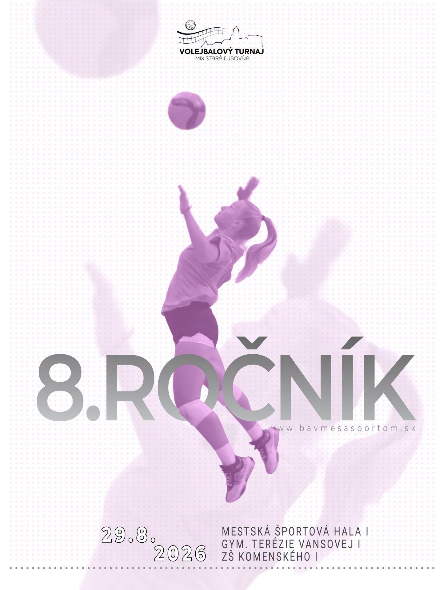 Volejbalový turnaj 8. ročník
