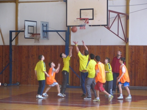200803131545130.10_basket_01