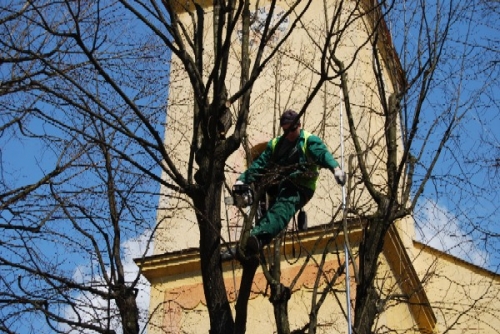 200804101457260.14_stromy_dsc_0025