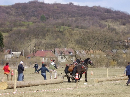 200804111538330.pardus_vitaz