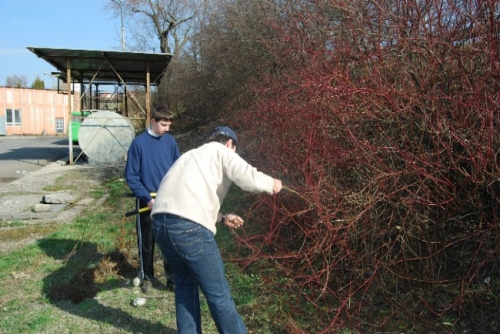 200804160741590.as_poriadok_dsc_0034