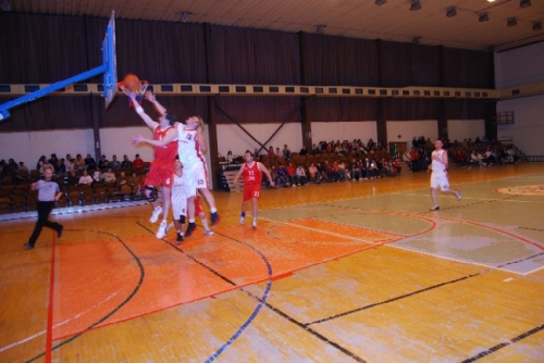 200804171426280.15_basket_dsc_0101