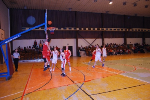 200804171426280.15_basket_dsc_0111