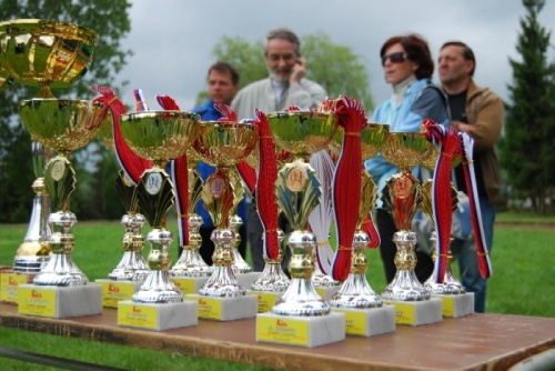 200806030651290.ceny_dsc_0032