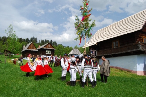 200806031131270.maj_dsc_0265