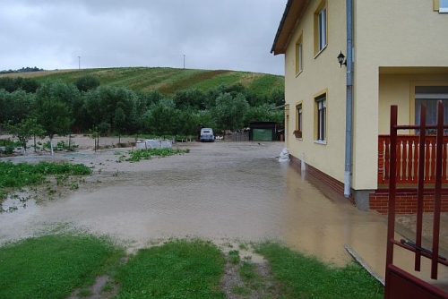 200807291349130.dsc_0062