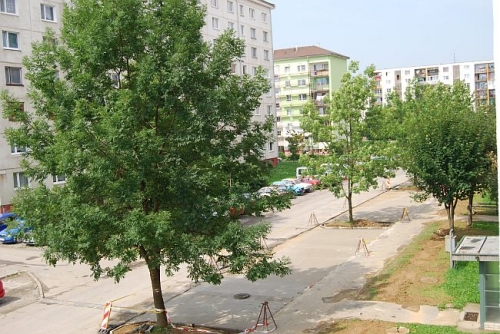 200808212153340.parkovisko_dsc_0056
