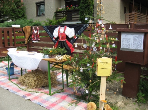 200808291231150.jarabina_img_1747