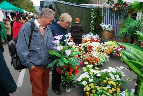 200809291631500.dsc_0147