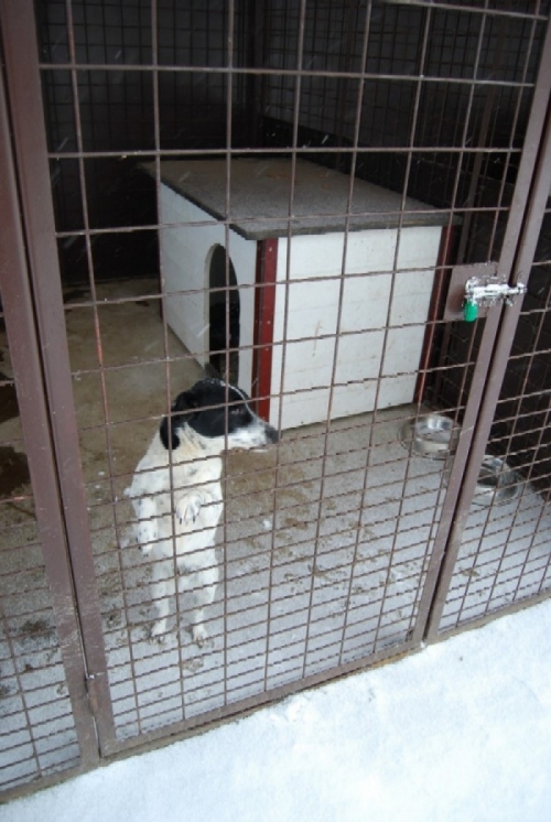 200902051514430.karant_stanica2