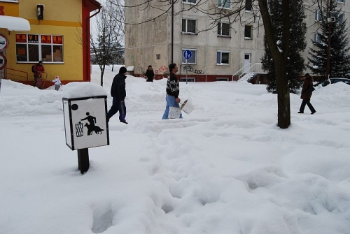 200902181933460.07_kose_velka_dsc_0006