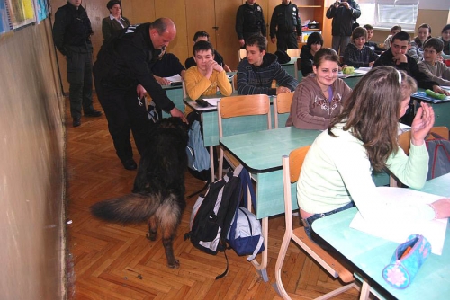 200902181939400.dsc_0027