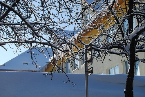 200903011648200.DSC_0006.JPG