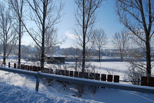 200903011702090.DSC_0037.JPG