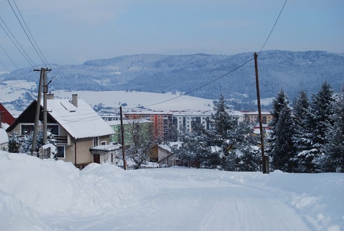 200903011705470.DSC_0134.JPG