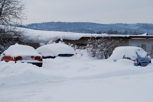200903011706010.DSC_0125.JPG