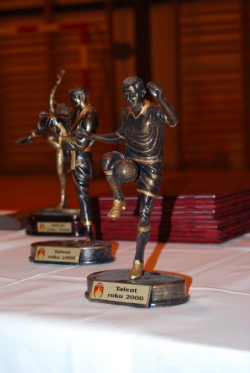 200903150716280.10-cena-DSC_0012.JPG
