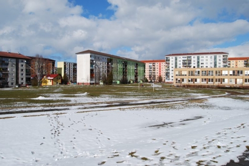 200903192049460.DSC_0121.JPG