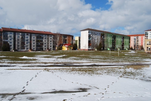 200903192051210.DSC_0119.JPG