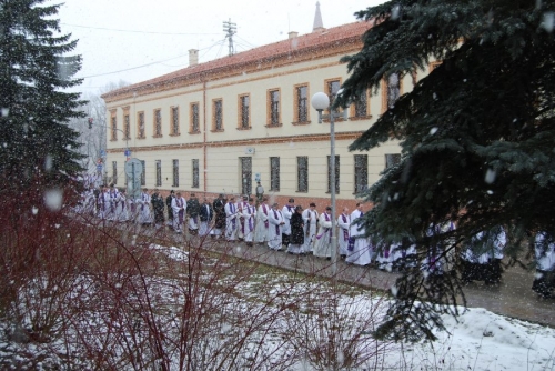 200903261231390.DSC_0010.JPG