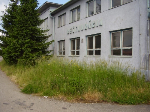 200905081112240.18_nekosenie_p6050001