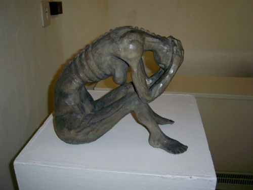 201002231737220.pic_0028