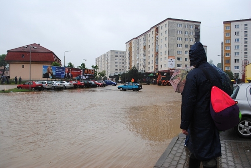 201006091356240.dsc_0007