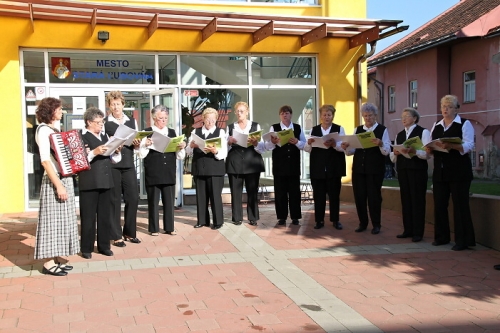 201009241135280.img_5299