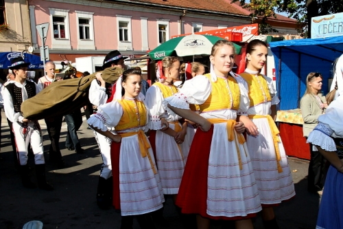 201009241135280.img_5305