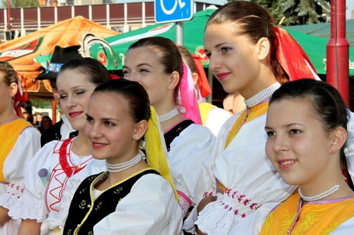 201009241135280.img_5336
