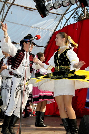 201009241135280.img_5375