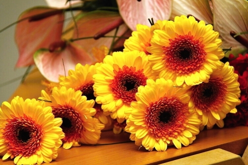 201104011317350.img_8340