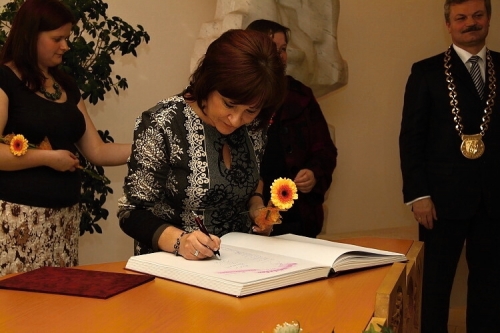 201104011317350.img_8411