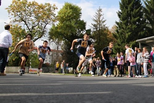 201309261411100.img_8937