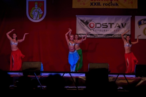 201309300832370.j54a5202