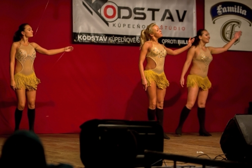 201309300832380.j54a5192