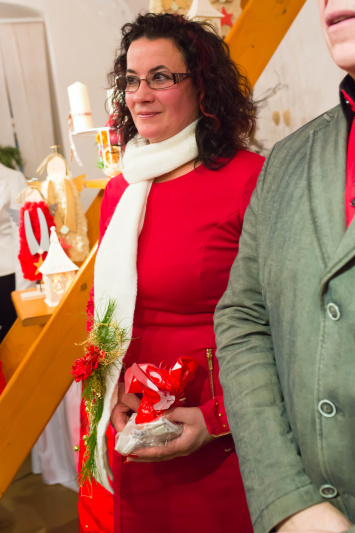 201312031338280.j54a8341