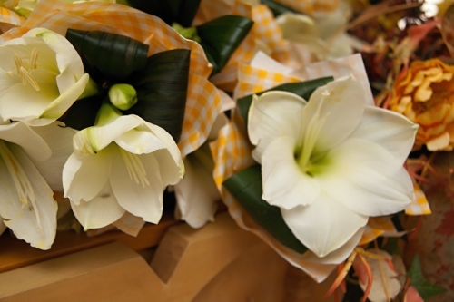 201403252133530.img_0694_4