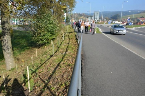 201410130847260.stromy_vysadba_kaufland_006
