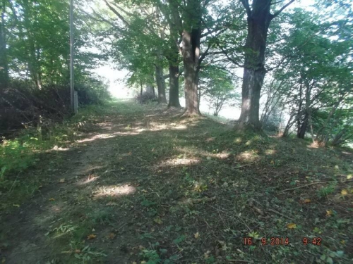201410140939260.28