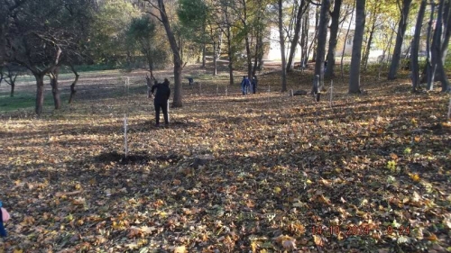 201410151435160.dscf1958
