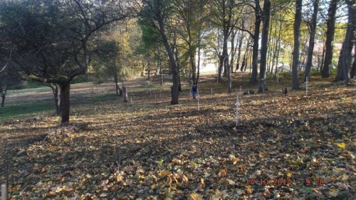 201410151435160.dscf1960