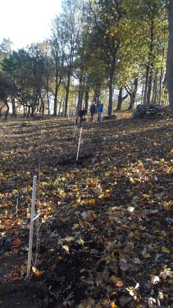 201410151435160.dscf1968