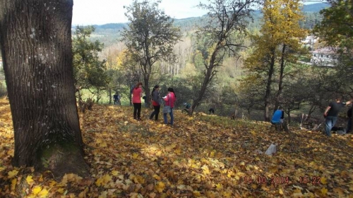 201410151435160.dscf1970