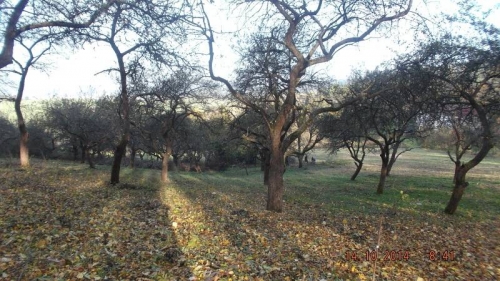 201410151435170.dscf1904