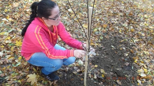 201410151435170.dscf1936