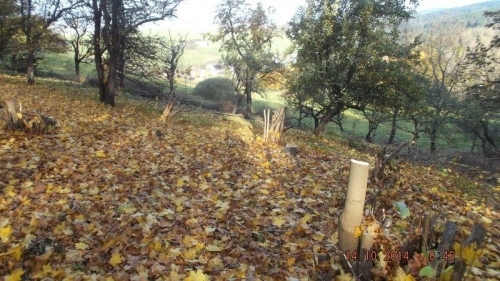 201410151435190.dscf1908