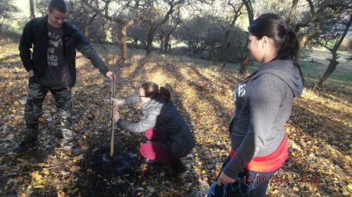 201410151435190.dscf1955