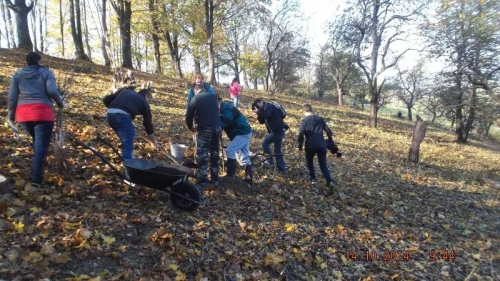 201410151435190.dscf1966